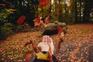 Vrouwenhand gooit herfstbladeren in de lucht